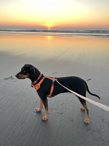 Sunset by jkerssen, longbeach