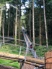 Photo 13 of 13 in the Zip World Fforest (26th Aug 2017) gallery