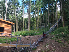 Photo 2 of 13 in the Zip World Fforest (26th Aug 2017) gallery