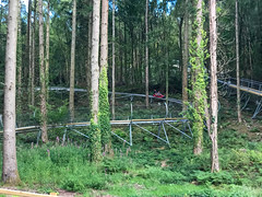 Photo 8 of 13 in the Zip World Fforest (26th Aug 2017) gallery