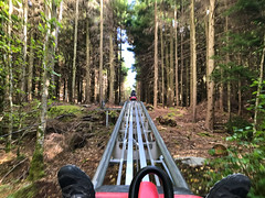 Photo 11 of 13 in the Zip World Fforest (26th Aug 2017) gallery