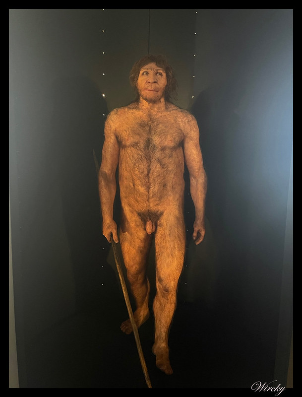 Homo heidelbergensis en el Museo de la Evolución Humana de Burgos