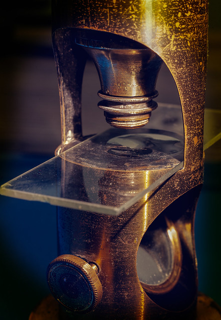 Vintage Victorian Pocket Microscope.