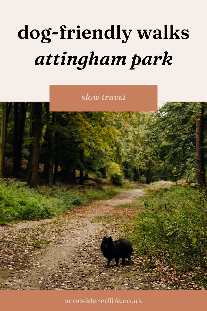 Attingham Park - Dog-Friendly Walks