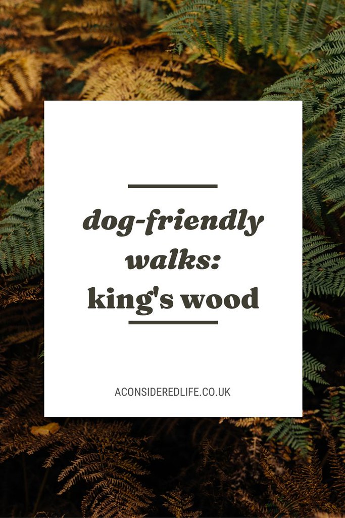King's Wood - Dog-Friendly Walks