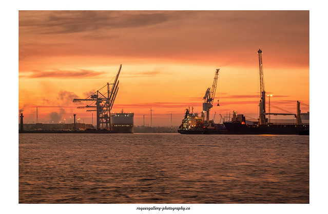 Sunrise over the port