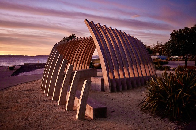 Whalebone Structure - Napier NZ