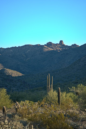 alhikesaz az azhike arizona scottsdale phoenix hiking hikes hike trails mcdowell sonoran preserve mcdowellsonoranpreserve intphoenix tomsthumb toms thumb gatewaylooptrail mcdowellmountains mountains sonorandesert desert arizonawonders arizonapassages saguaro saguaros