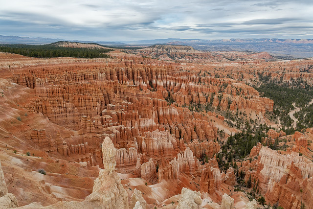 Wide Open Spaces in Bryce Canyon National Park