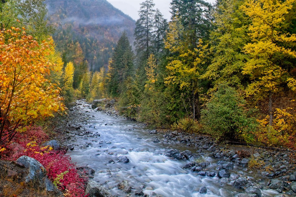 Creek Autumn 5628 A