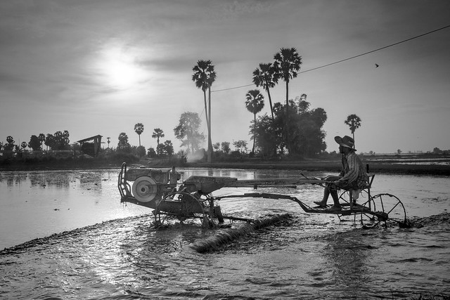Farmer at work, Cambodia 2022