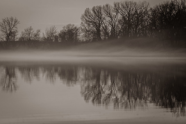 Lakeside Fog