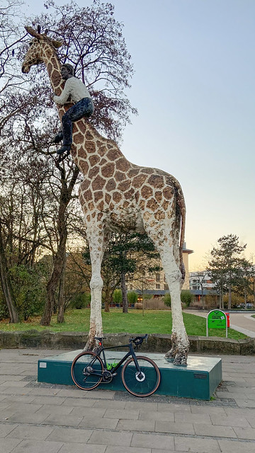 I’m lost again – Me, my bike and a giraffe