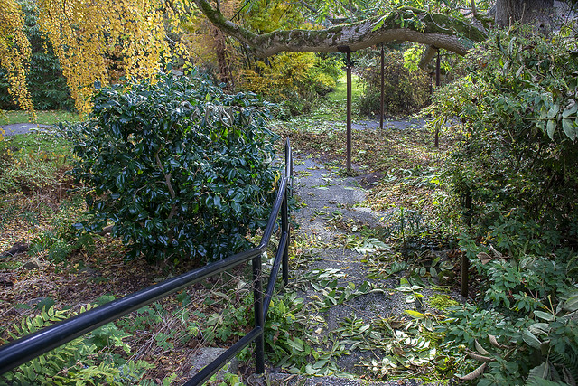 Stairs to the lower garden, Darts Hill Garden