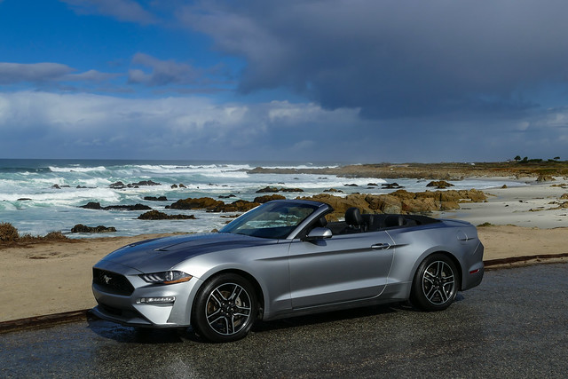 Mustang At Pacific Grove. 02/11/2022.