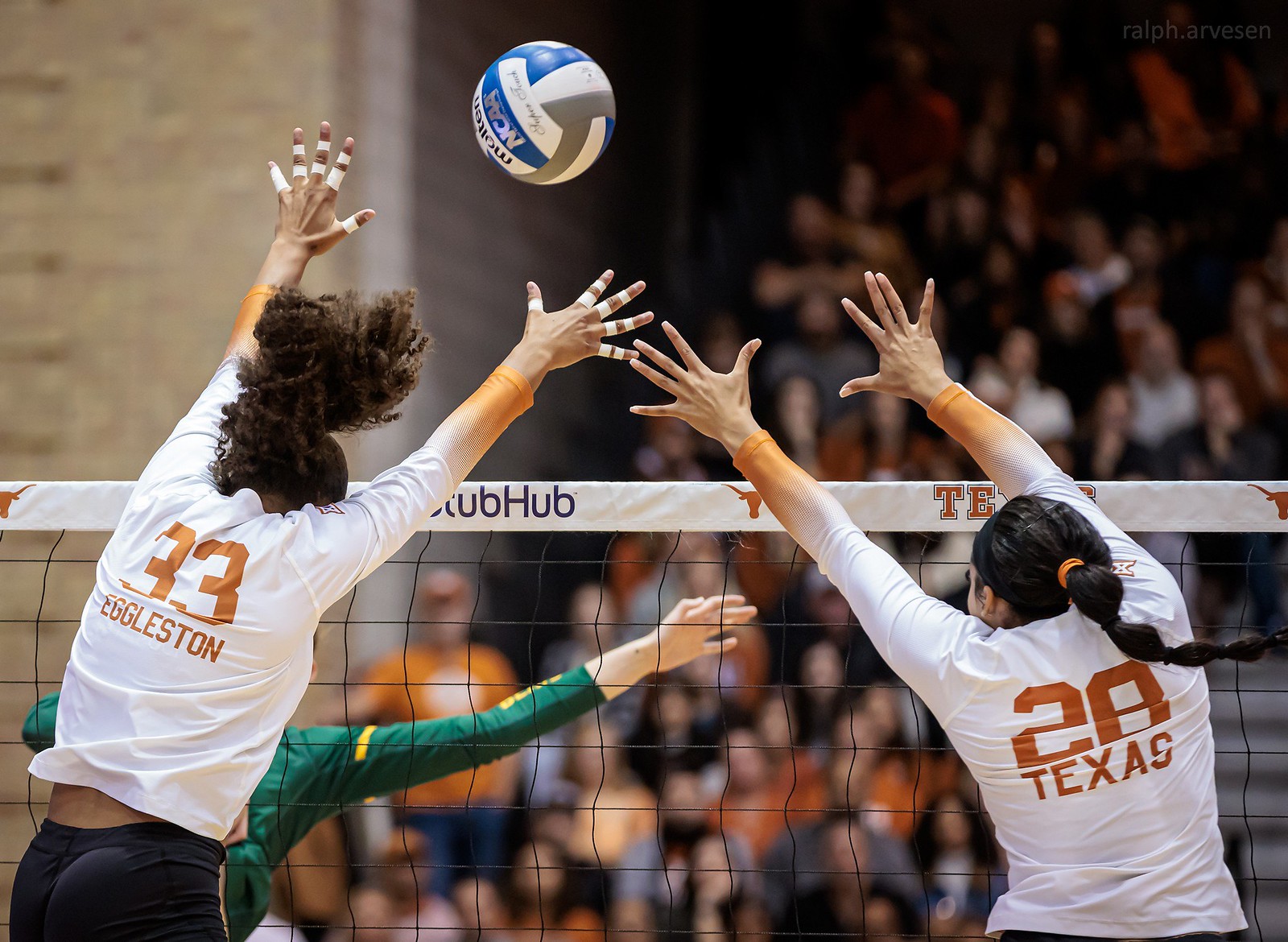 Texas Longhorn Volleyball | Texas Review | Ralph Arvesen