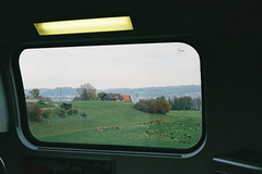 View from the train window  (由  Mariam Sitchinava.