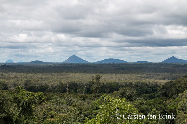 Yanomami landscape [bc2550e]