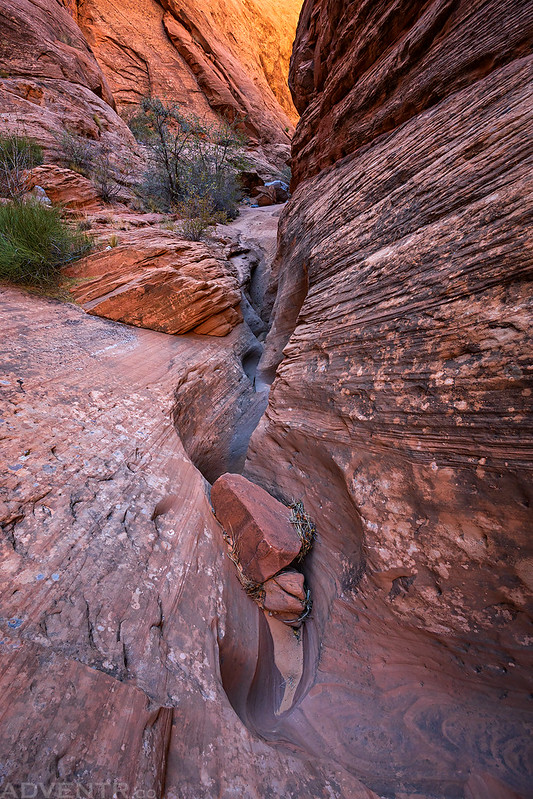 Carved Canyon