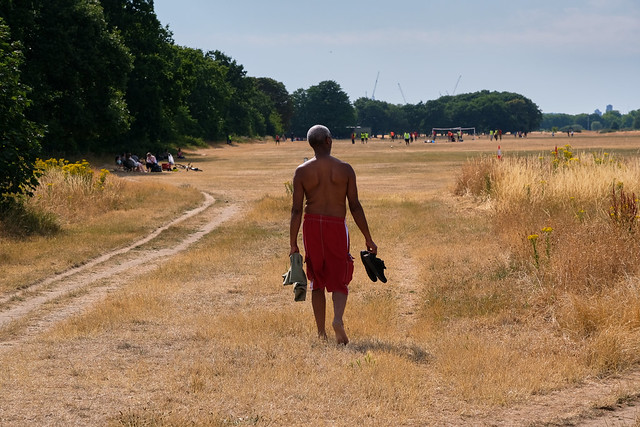 In the sun without shoes (2) - Wanstead Flats, London