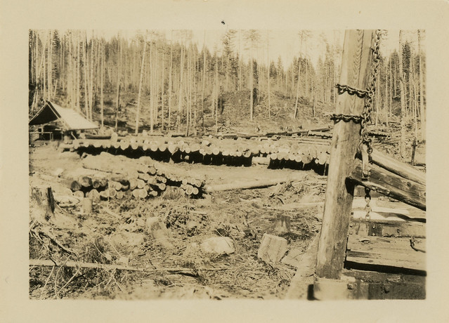 Camp 14, Potlatch Forests, Inc., 1941 - Headquarters, Idaho