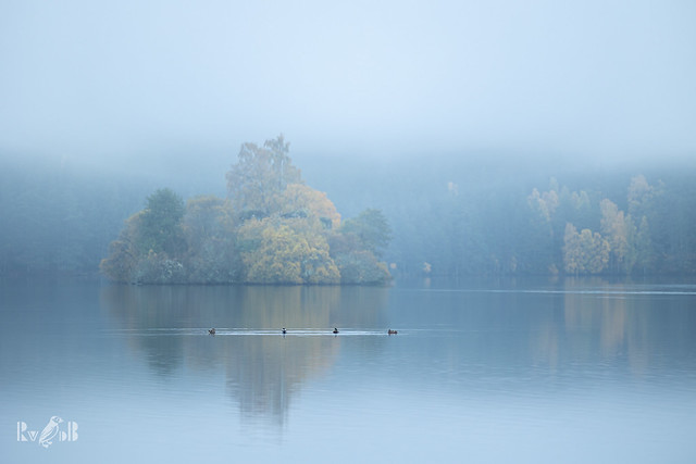 Foggy Loch