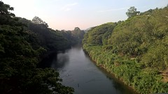 Mahaweli river