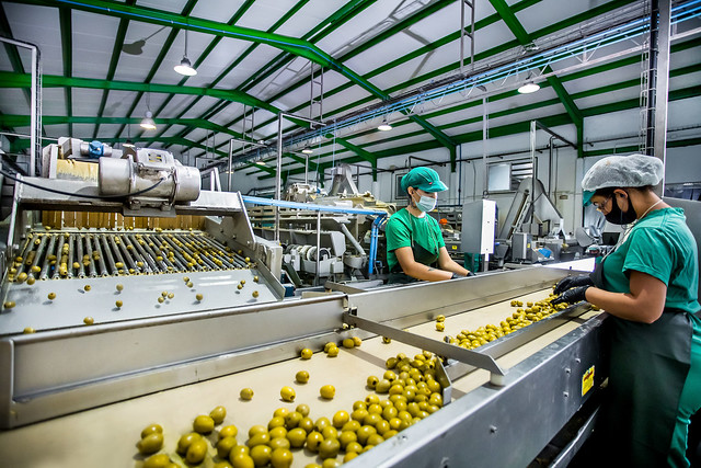 Aceitunas Miroliva: Medio siglo ofreciendo lo mejor del olivar