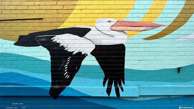 Pelican Street Art by Melanie Caple 2021, Frankston, Mornington Peninsula, Victoria