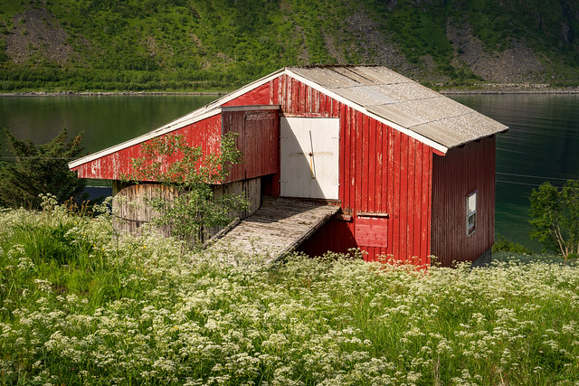 The Fjords of Senja