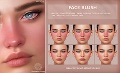 Face Blush Set 01
