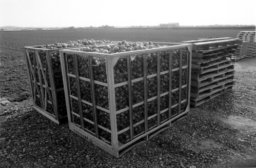 Harvesting is over | by threepinner