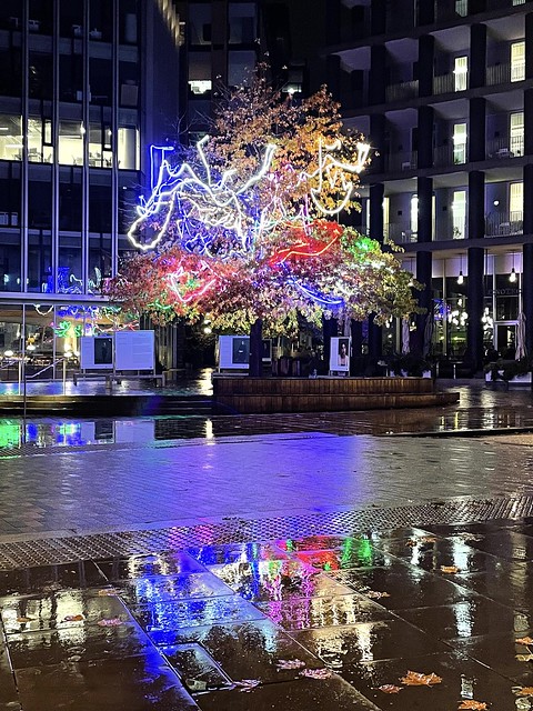 neon tree / & rain reflection