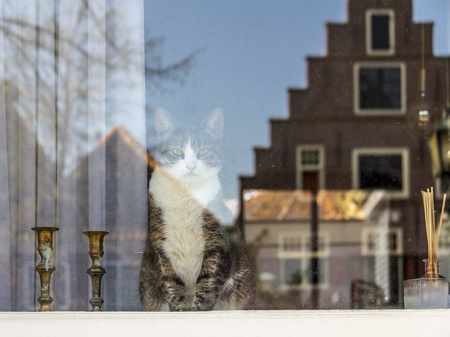 Netherlands - Hoorn - Viewer behind the glass