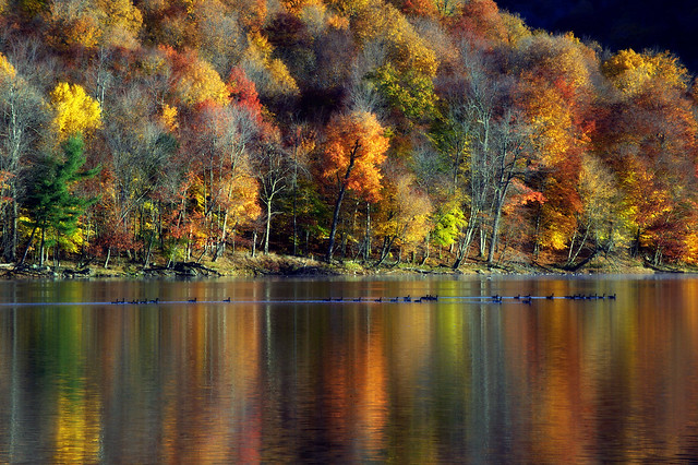 Mornings on the colorful water of Autumn