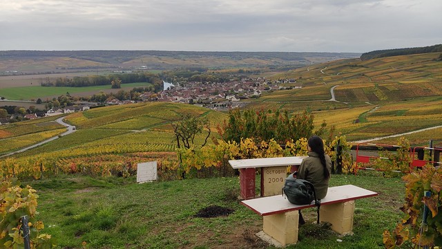 Viewpoint - Marne Valley - Walking from Épernay to Hautvillers and Cumières, Marne, France