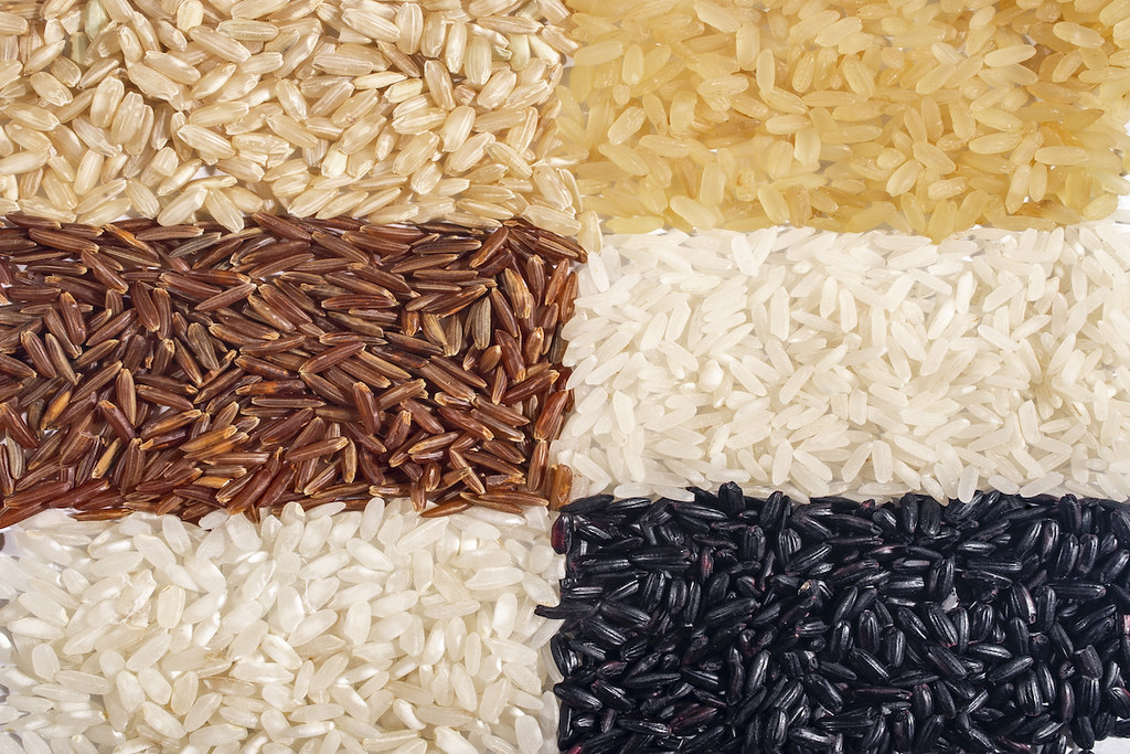 Diverse tipologie di riso