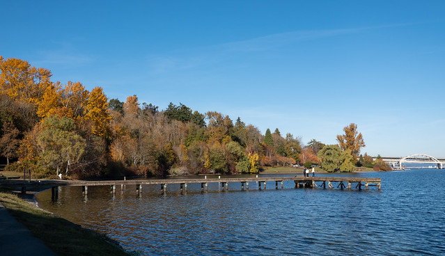 Fall day at Lake Washington - Nov 19, 2022
