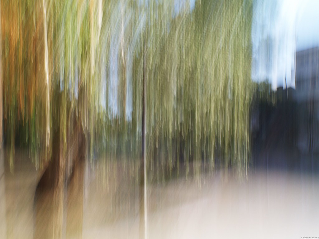 ICM Mld 75 | OLYMPUS DIGITAL CAMERA | Miroslav Aleksandric | Flickr