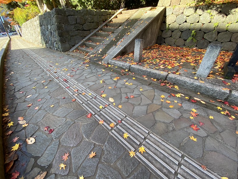 尾山神社の森の紅葉