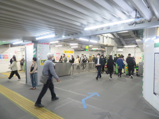 駅からハイキング「渋谷コース」2022.11.25