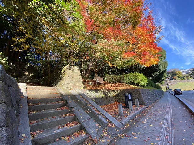 尾山神社の森の紅葉