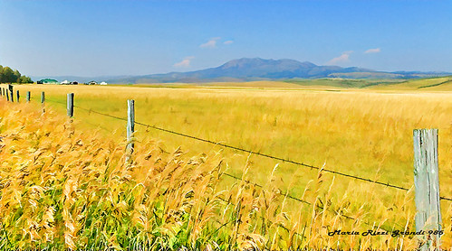 Travel Memories - N2 - Country Fence | by Maria Rizzi Grandi 985