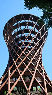 069 Forest tower