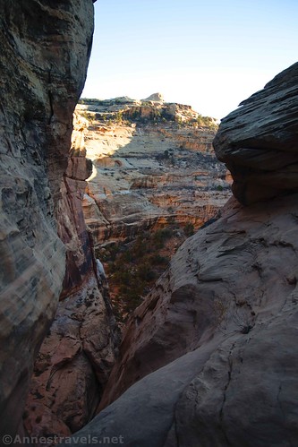 Looking down the dryfall in Waterhole Canyon, Maze District, Canyonlands National Park, Utah