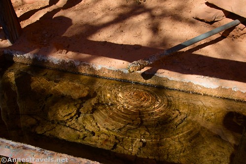 The dripping pipe at Lou's Spring, Maze District, Canyonlands National Park, Utah