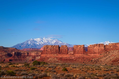 Rock formations (we called them the Chocolate Bars) and the Henry Mountains from the Waterhole Flat Road, Maze District, Canyonlands National Park, Utah