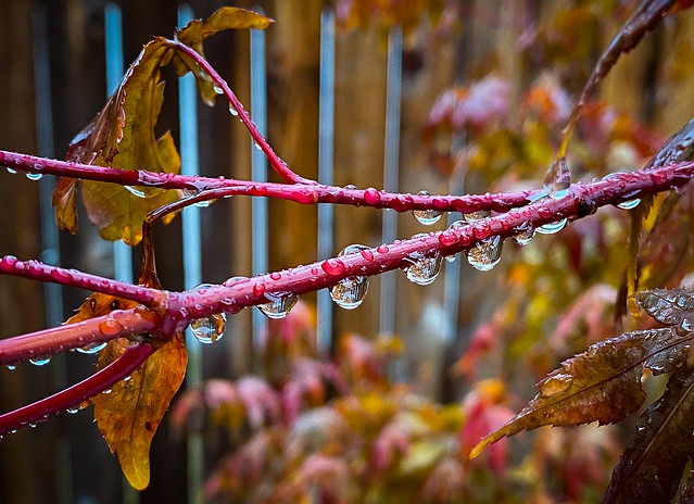 We’ve Got Rain