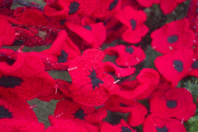 Crochet Poppies on the Old Court House
