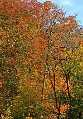 2022 Autumn 370 | by David OMalley